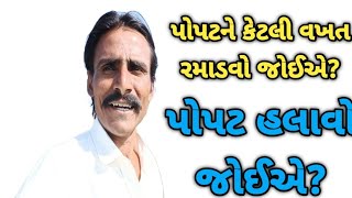 પોપટને કેટલી વખત રમાડવો જોઈએ?