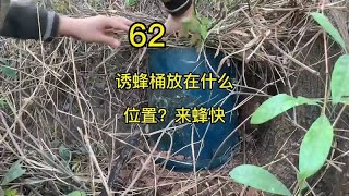 诱蜂桶放在什么位置？来蜂快，诱到蜜蜂有6个关键点，您知多少？