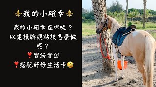 ◆玄是太極☆Tarot◆☯2023年❤我的小確幸❤我的小確幸在哪｜以建議排的觀點該怎麼做??💫#整體運勢 #塔羅占卜 #玄是太極 #2023 #小確幸 #建議牌指引