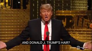 What's the difference between a wet raccoon and Donald Trump's hair? ?