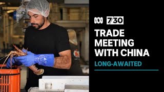 Australian trade minister to meet Chinese counterpart next week as relationship thaws | 7.30