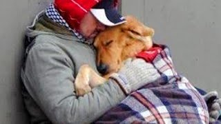 50 Heartwarming Acts Of Kindness Towards Animals That Will Make You Cry❤