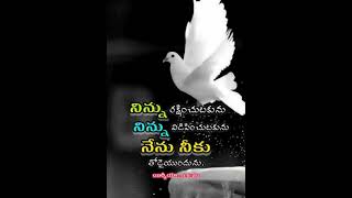 #నిన్ను# రక్షించుటకును #నిన్ను# విడిపించుటకును# నేను నీకు# తోడైయుందును #