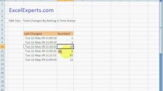 ExcelExperts.com - VBA Tips - Track Changes By Adding A Time Stamp