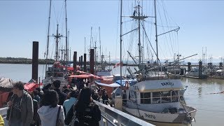 Sunday Trip to Steveston