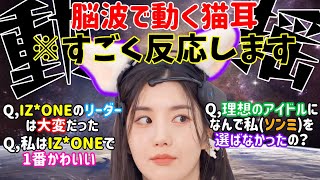 猫耳は本物だと証明したウンビちゃんwww【KWON EUN BI】【日本語字幕】