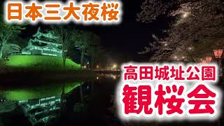 日本三大夜桜 高田城址公園 観桜会に行ってみた