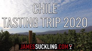 CHILE TASTING TRIP 2020