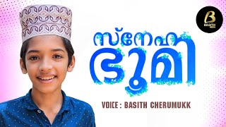 Sneha bhoomi | Abdul basith cherumukku | with lyrics |സ്നേഹഭൂമി മദീന | അബ്ദുൽ ബാസിത്ത്  ചെറുമുക്ക്