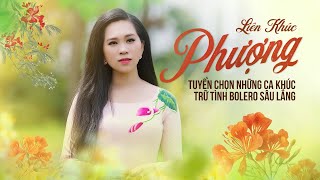 Liên khúc PHƯỢNG - Tuyển Chọn Những Ca Khúc Trữ Tình Bolero Sâu Lắng