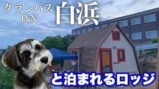 【夫婦キャンプ】愛犬と泊まれるロッジで海鮮BBQを堪能するアラフィフ夫婦！愛犬とアラフィフ夫婦キャンプ！〜和歌山県 グランパスイン白浜〜＜前編＞