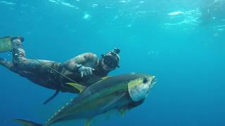 Norfolk Island Spearfishing - Ep 1