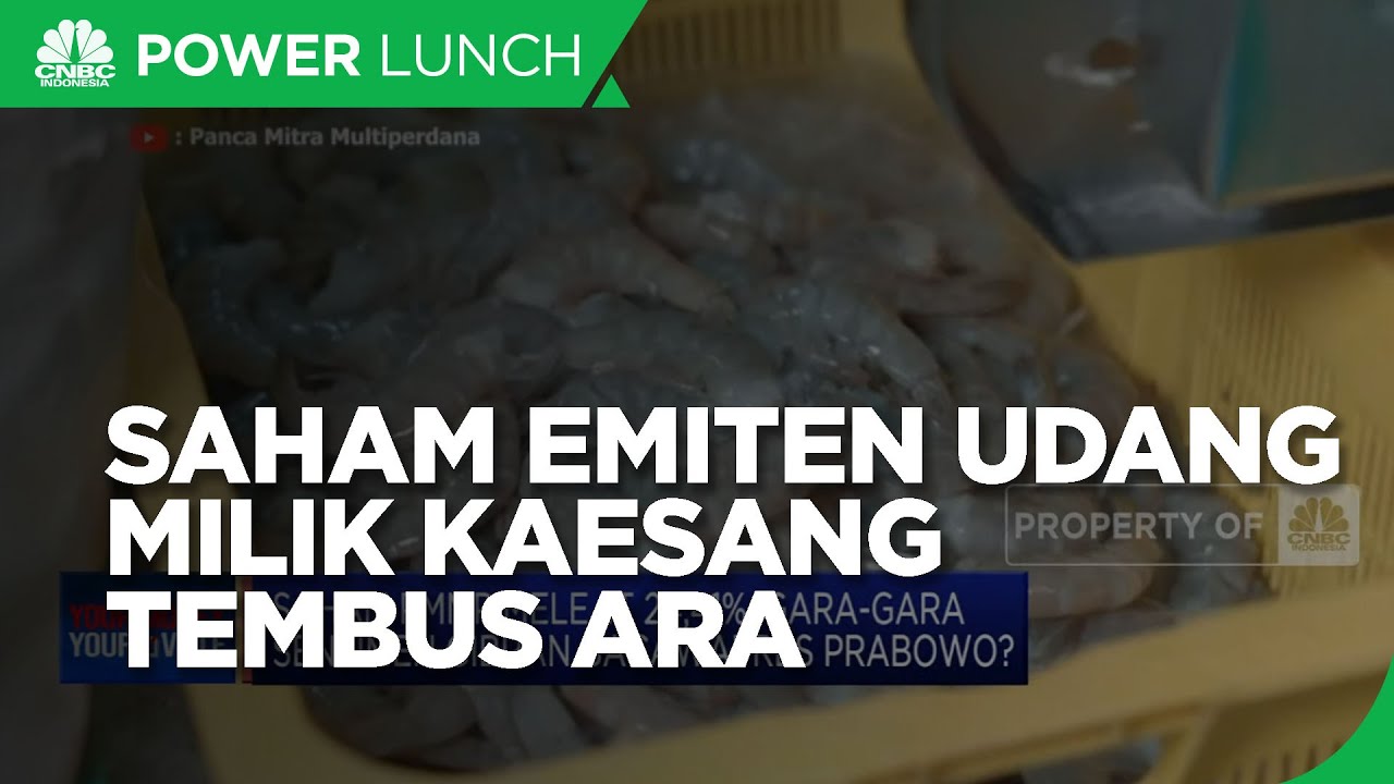 Saham Emiten Udang Milik Kaesang, PMMP Tembus ARA! - YouTube