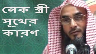 নেক স্ত্রী সূখের কারণ || শায়খ মতিউর রহমান মাদানী || Bangla Waz Short Video 2018