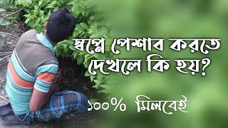 স্বপ্নে প্রস্রাব করতে দেখলে কি হয় | স্বপ্নে পেশাব-পায়খানা দেখার মানে | স্বপ্নের ব্যাখ্যা | dream