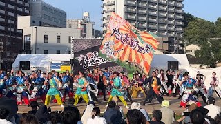 かごしま春祭り大ハンヤPR隊「いっだまし」黒崎よさこい祭り2023