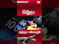 කිඹුලා අල්ලන මෙහෙයුම... crocodile