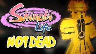 Roblox Shinobi Life New Codes Version 001 - roblox shinobi life hack spins and level youtube