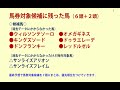 【フェブラリーステークス2024予想】＜消去データ8項目＞オメガギネスが出走可能になり候補に残った６頭が熱い！ウィルソンテソーロ、レッドルゼルは