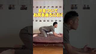 寝起きにオススメ！内転筋ストレッチ！#shorts