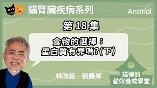 貓腎臟病系列_第18集｜食物的選擇：蛋白質有罪嗎？(下｜貓博的貓奴學堂