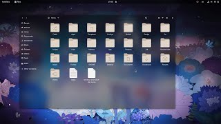 GNOME 40, Blur Effect on Application Windows (with Shell Extension)