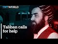 Taliban calls on the international community for help