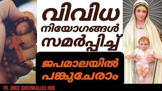 ജപമാലയിൽ പങ്കുചേർന്ന് പ്രാർത്ഥിക്കാം Rosary Joyful Mysteries Malayalam Fr. Jince Cheenkallel HGN