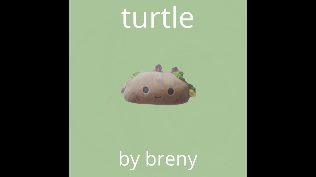 Turtle Youtube Turtle Youtube