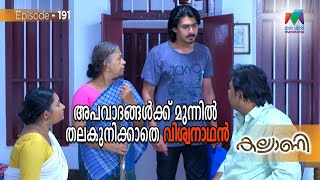 വിശ്വനാഥന്റെ നേരെ ചോദ്യങ്ങളുന്നയിച്ച് ശബരി  ! | Kalyani