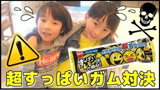 3個に1個超すっぱいガム対決！太陽チャンネル＆れのれらTVオフ会後のおまけ編