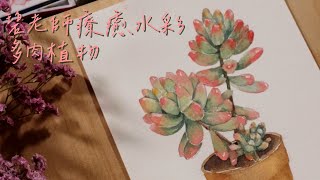 碧老師的療癒水彩課程｜療癒的多肉植物｜零基礎水彩技法-素描概念/花盆植物