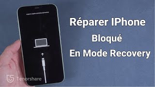 iPhone bloqué sur support.apple.com/iphone/restore [iPhone bloqué en Mode Recovery]