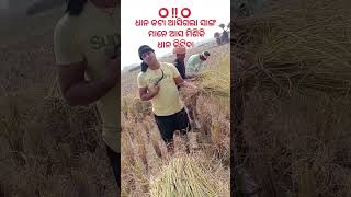 ଖଟି ଖୀଆ ଲୋକ ଦିନ ମଜୁରୀୟ #shorts #ytshorts #odiasha #odiabhajn #jaygannath