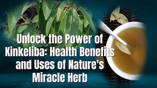 Unlock the Power of Kinkeliba: Health Benefits and Uses of Nature's Miracle Herb