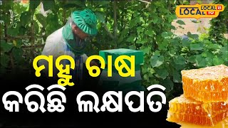 Honey Cultivation: ମାଲାମାଲ କରିଛି ମହୁ ଚାଷ, ମାସକୁ କରୁଛନ୍ତି ଏତିକି ଟଙ୍କା... Odia News| #local18