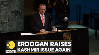 'India and Pakistan have not established peace,' Turkish Prez Erdogan rakes up Kashmir issue at UNGA