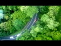 Skyrail Rainforest Cableway Cairns