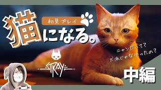 【Stray/ストレイ】迷い猫になってサイバーシティをお散歩する♪犬派ですが猫も好き！【中編】