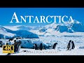 THE ANTARCTICA 4K Scenic Relaxation Film • The Antarctica Drone Scenery with Calming Music