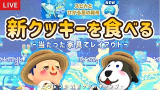 【ポケ森】スピカの新フォーチュンクッキー食べてレイアウトするライブ配信！【雑談/どうぶつの森ポケットキャンプ】