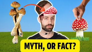 Have You Been Lied To? (Busting The WORST "Mushroom Myths")