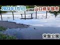 山口県宇部市　常盤公園　冠水