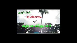 அழிவின் விளிம்பில் ஓர் கற்பக விருட்சம்