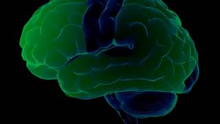 Higher Cortical Functions Relationship To Alzheimer's Disease