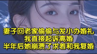 妻子回老家偷偷与发小办婚礼，我直接起诉离婚，半年后她崩溃了求着和我复婚