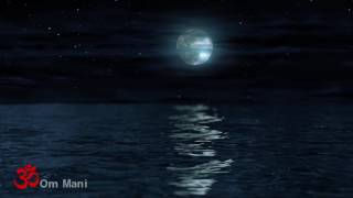 Beethoven Moonlight Sonata with Night Ocean Waves Sounds (2 hours)