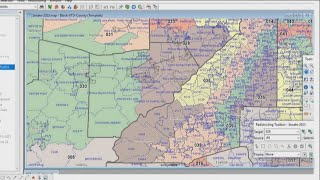 How to check your district following new maps in Georgia