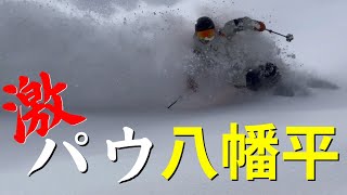 春雪の白馬コルチナBCから真冬の八幡平BCを攻めまくる！