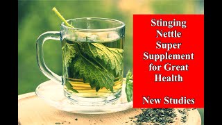 Stinging Nettle Super Supplement for Great Health - New Studies